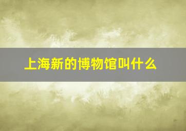 上海新的博物馆叫什么