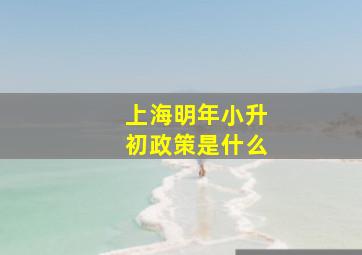 上海明年小升初政策是什么