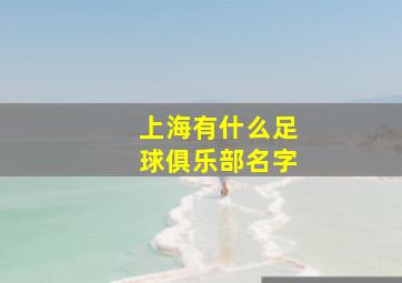 上海有什么足球俱乐部名字