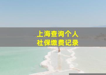 上海查询个人社保缴费记录