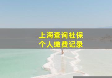 上海查询社保个人缴费记录