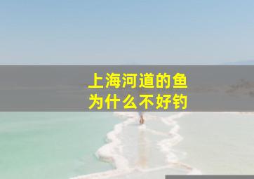 上海河道的鱼为什么不好钓