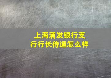 上海浦发银行支行行长待遇怎么样