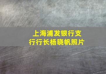 上海浦发银行支行行长杨晓帆照片