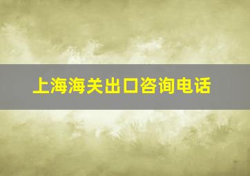 上海海关出口咨询电话