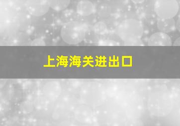 上海海关进出口