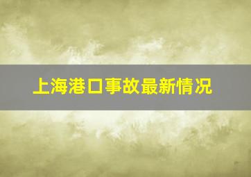 上海港口事故最新情况