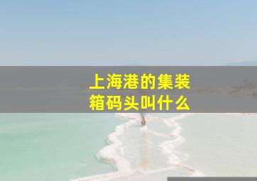 上海港的集装箱码头叫什么