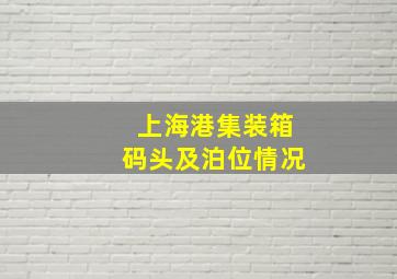 上海港集装箱码头及泊位情况