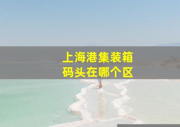 上海港集装箱码头在哪个区