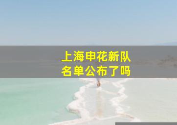 上海申花新队名单公布了吗