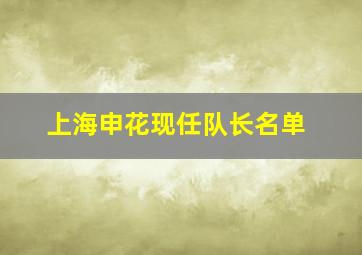 上海申花现任队长名单