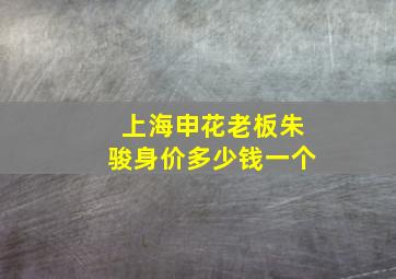 上海申花老板朱骏身价多少钱一个