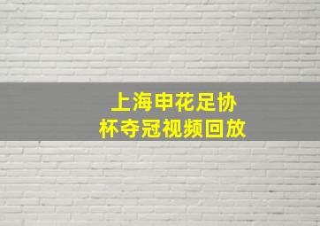 上海申花足协杯夺冠视频回放