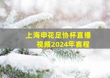 上海申花足协杯直播视频2024年赛程