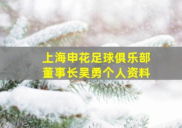 上海申花足球俱乐部董事长吴勇个人资料