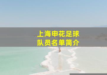 上海申花足球队员名单简介