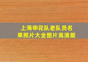 上海申花队老队员名单照片大全图片高清版