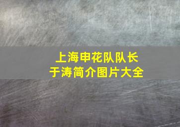 上海申花队队长于涛简介图片大全