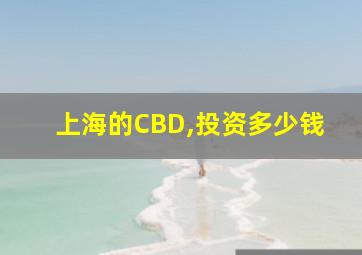 上海的CBD,投资多少钱