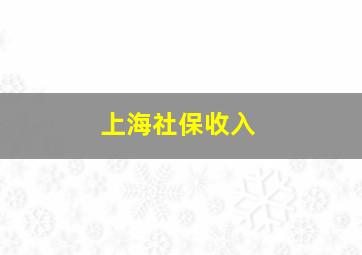 上海社保收入