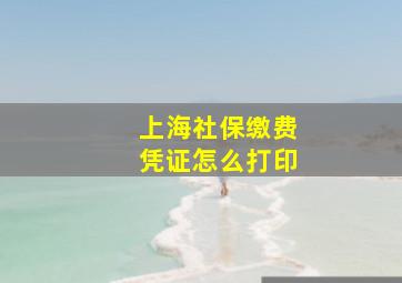 上海社保缴费凭证怎么打印