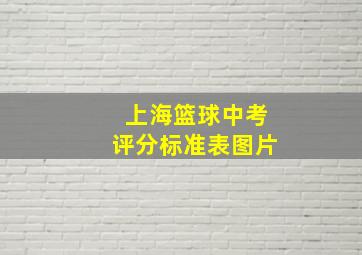 上海篮球中考评分标准表图片