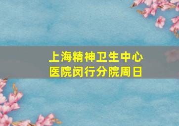 上海精神卫生中心医院闵行分院周日