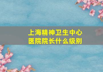 上海精神卫生中心医院院长什么级别