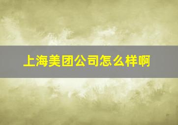 上海美团公司怎么样啊