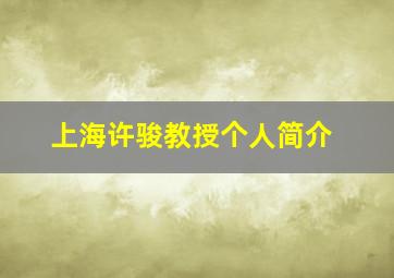 上海许骏教授个人简介