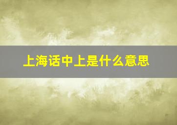 上海话中上是什么意思