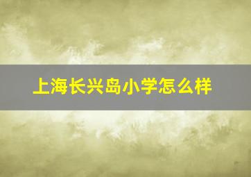 上海长兴岛小学怎么样