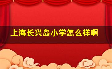 上海长兴岛小学怎么样啊