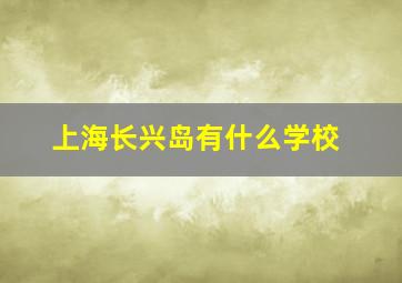 上海长兴岛有什么学校