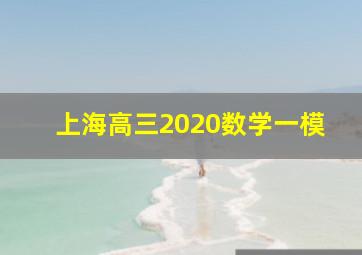 上海高三2020数学一模