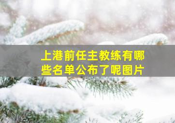 上港前任主教练有哪些名单公布了呢图片