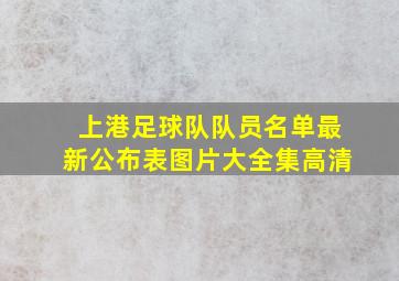 上港足球队队员名单最新公布表图片大全集高清