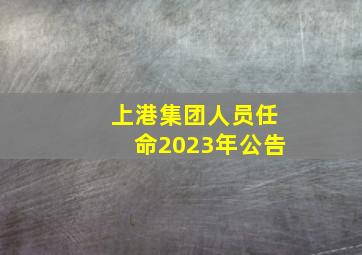 上港集团人员任命2023年公告