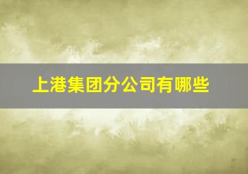 上港集团分公司有哪些