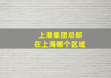 上港集团总部在上海哪个区域