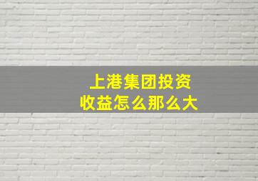 上港集团投资收益怎么那么大