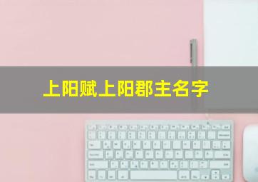 上阳赋上阳郡主名字