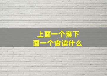 上面一个雍下面一个食读什么