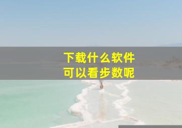 下载什么软件可以看步数呢