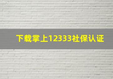 下载掌上12333社保认证