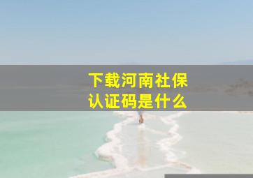 下载河南社保认证码是什么