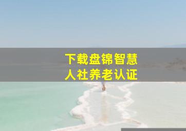 下载盘锦智慧人社养老认证