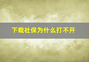 下载社保为什么打不开