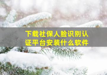 下载社保人脸识别认证平台安装什么软件